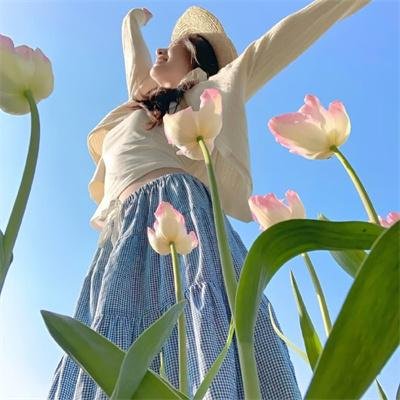 带你去看北极光