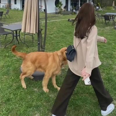 世界的末日